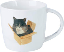 Carica l&#39;immagine nel visualizzatore di Gallery, Tazza Marc Martin Feline Friends 400ml - Cat in a Box
