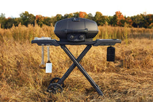 Carica l&#39;immagine nel visualizzatore di Gallery, Barbecue portatile NAPOLEON PHANTOM TRAVEL Q
